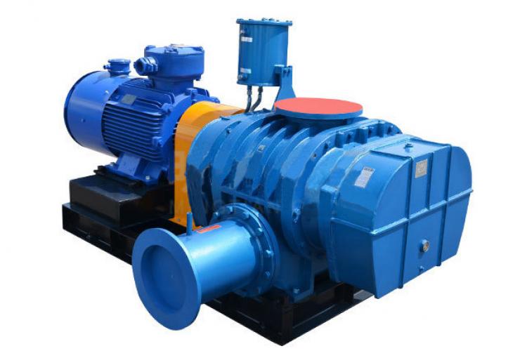 RSR系列特殊气体罗茨真空泵